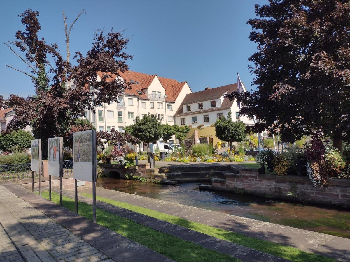 Charmant Studio Classe 3 Etoiles Au Coeur De Niederbronn-Les-Bains Exterior photo